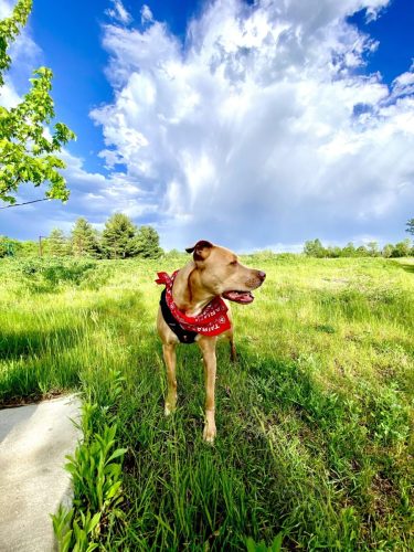 Max at Kettle Moraine